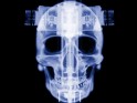 3D Skull Afbeelding.