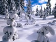 Snow Forrest Wallpaper.