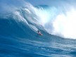 Surfing wallpaper.
