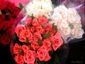 Rode en witte rozen afbeelding